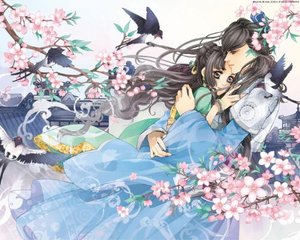 红杏永久地域入口